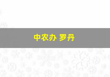 中农办 罗丹